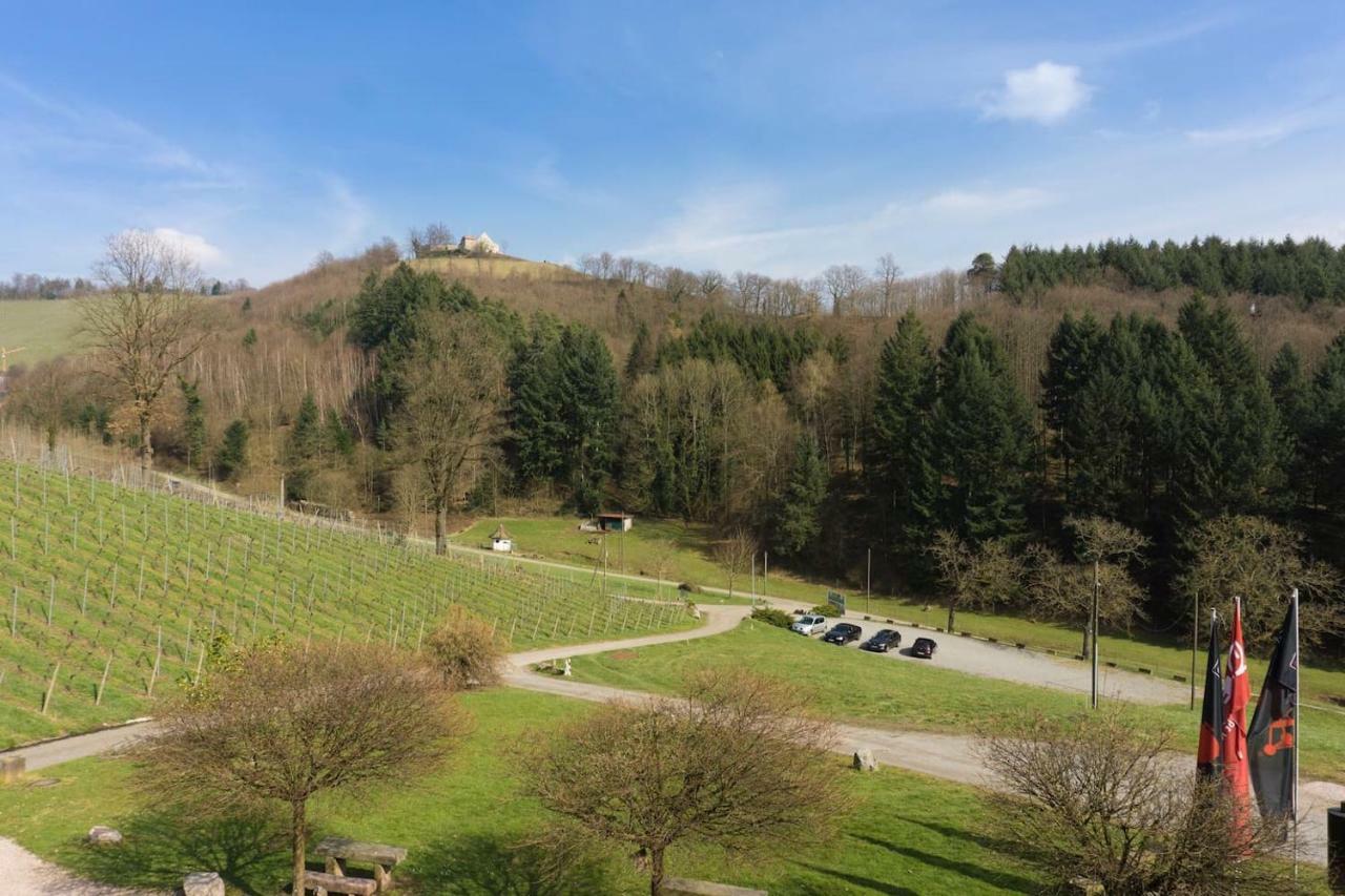Wein Lodge Durbach - Schlossblick المظهر الخارجي الصورة