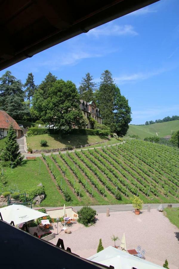 Wein Lodge Durbach - Schlossblick المظهر الخارجي الصورة
